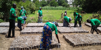 L'environnement et le cycle de projet